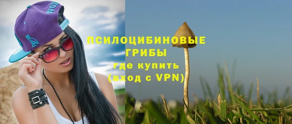 гидра Красноперекопск