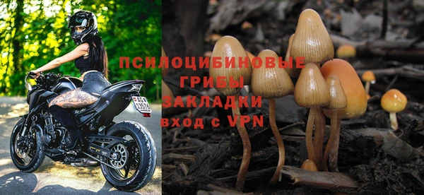 гидра Красноперекопск