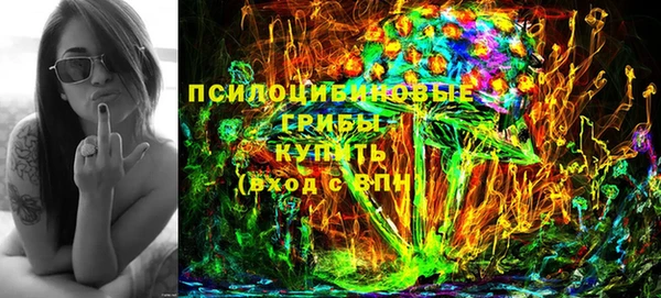 гидра Красноперекопск