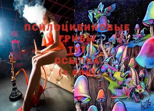 крисы Краснотурьинск