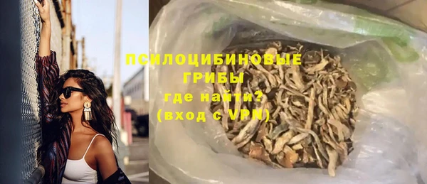 гидра Красноперекопск
