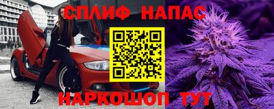 индика Беслан