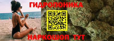 спиды Заволжье