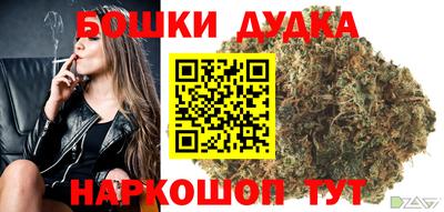 индика Беслан