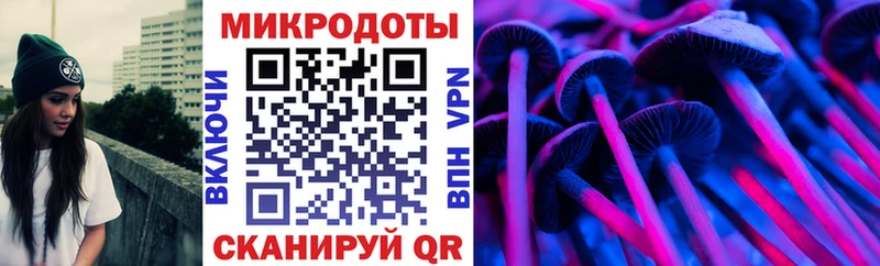 Псилоцибиновые грибы мицелий  KRAKEN зеркало  Шебекино  купить закладку 