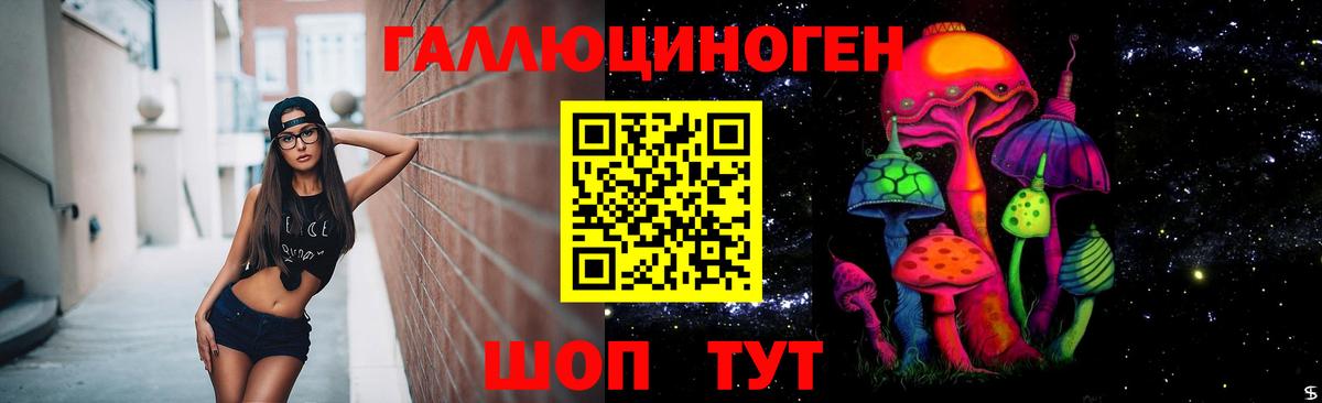 Псилоцибиновые грибы Psilocybine cubensis  Псилоцибиновые грибы прущие грибы  Вход с VPN  Шебекино 