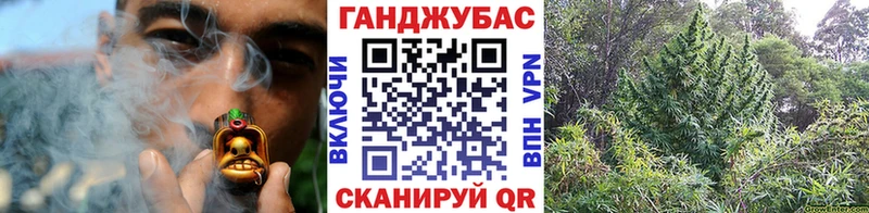 Конопля семена  магазин продажи наркотиков  Шебекино 
